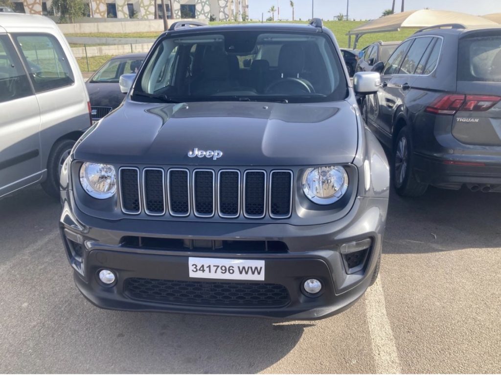 Jeep renegade-2024